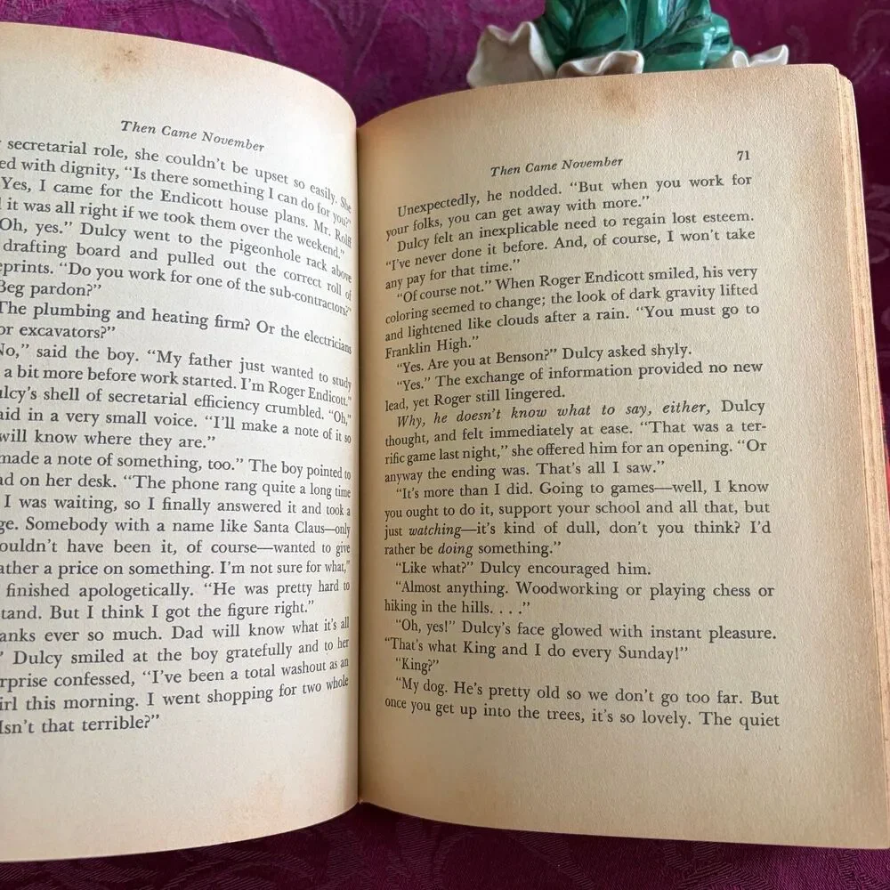 1963 Then Came November by Nan Gilbert, Vintage Teen Novel, Whitman Publishing
